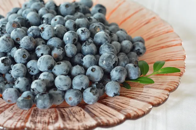 Blueberry Slender Stick